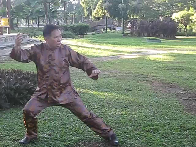 Wu Chuan You Style Taijiquan